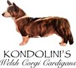 Kondolini's